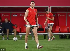 关于塞尔维亚队球员伤愈回归，迎来好机遇的信息